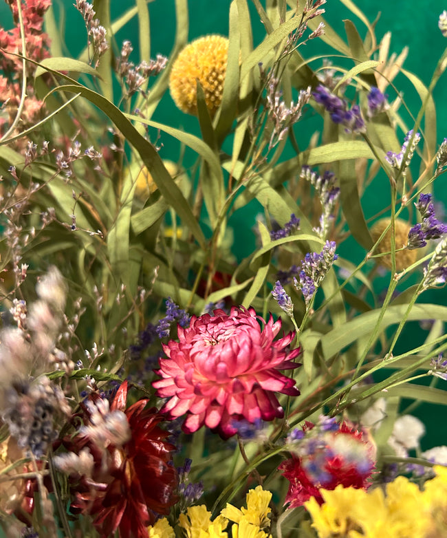 Trockenstrauss M Sommer