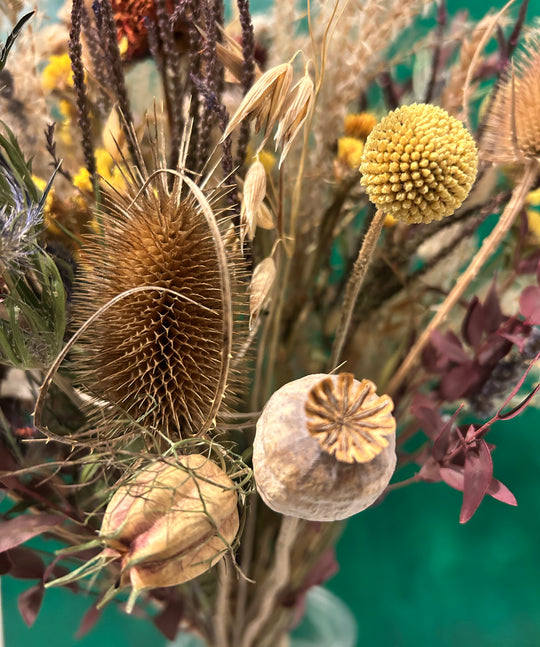 Trockenstrauss M Herbst