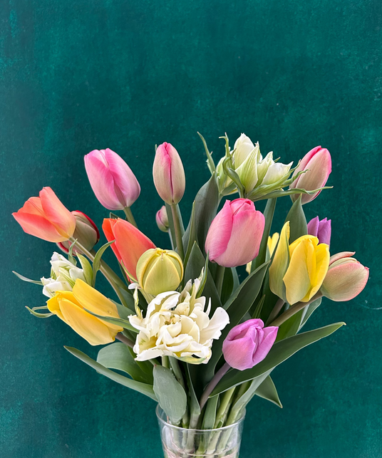 Tulpen-Bund