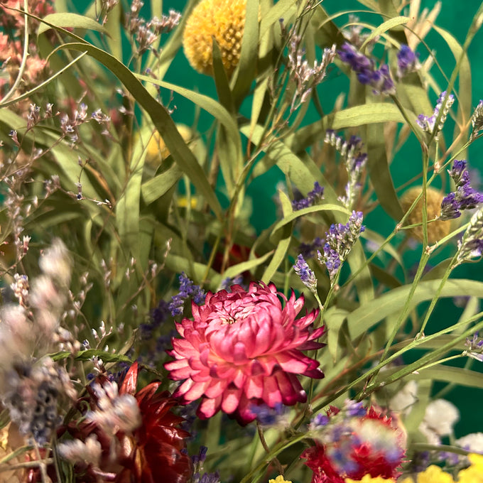 Trockenstrauss M Sommer