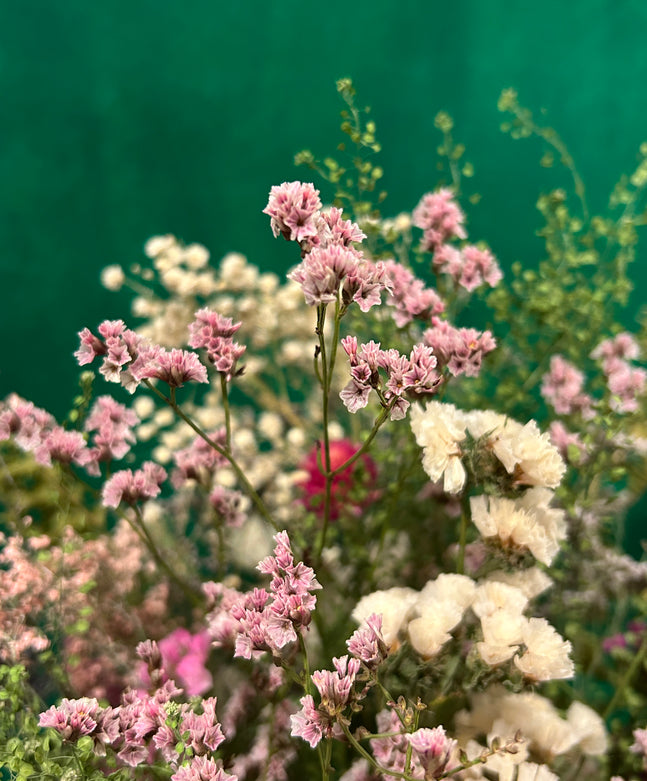 Trockenstrauss M Frühling